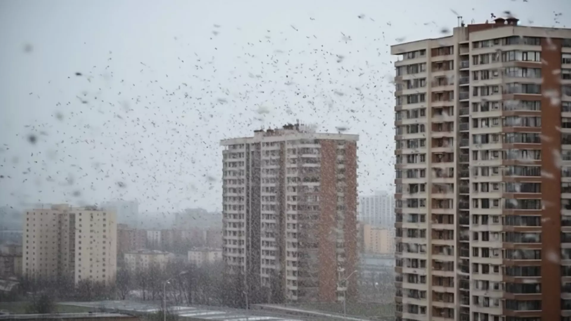 Метеоролог рассказал осадках в разных регионах России