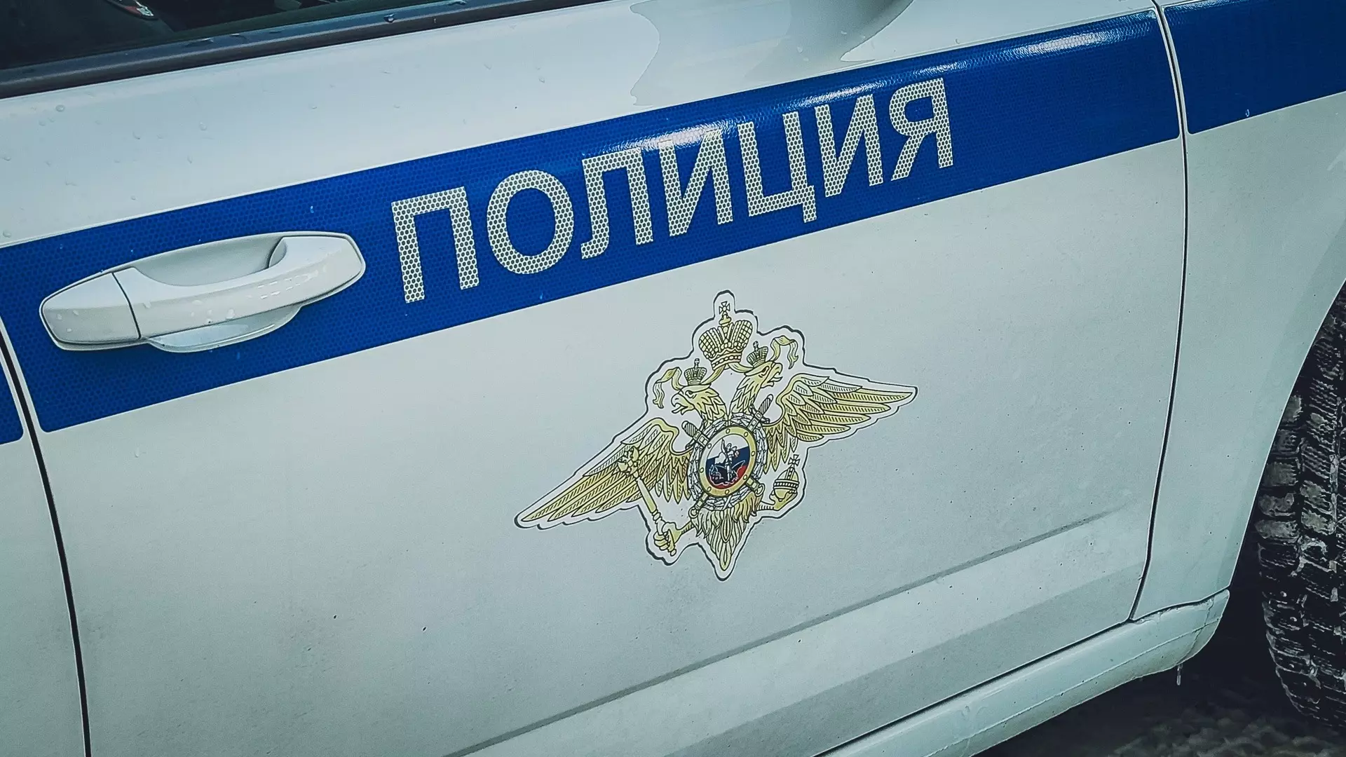 Нижегородская полиция начала проверку