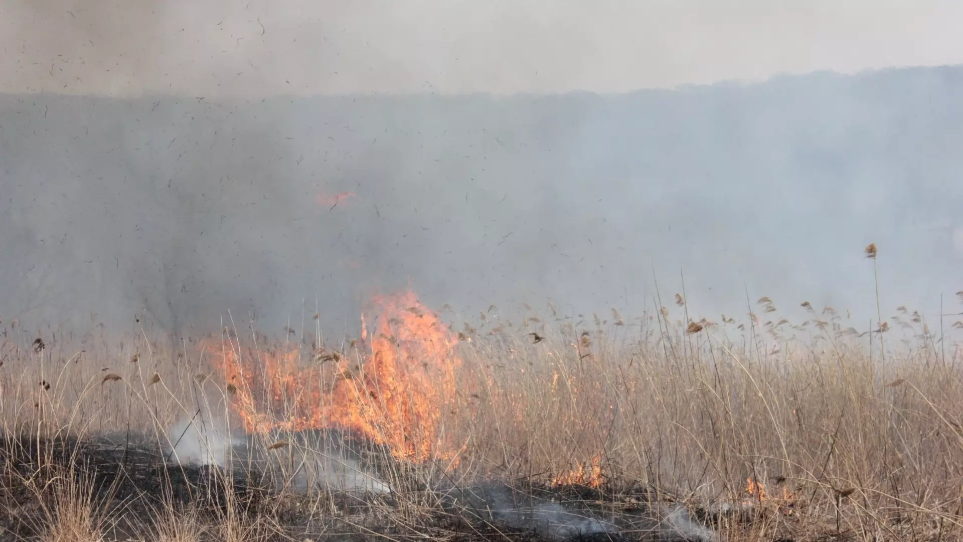 Пожароопасный режим продлили в Нижегородской области 