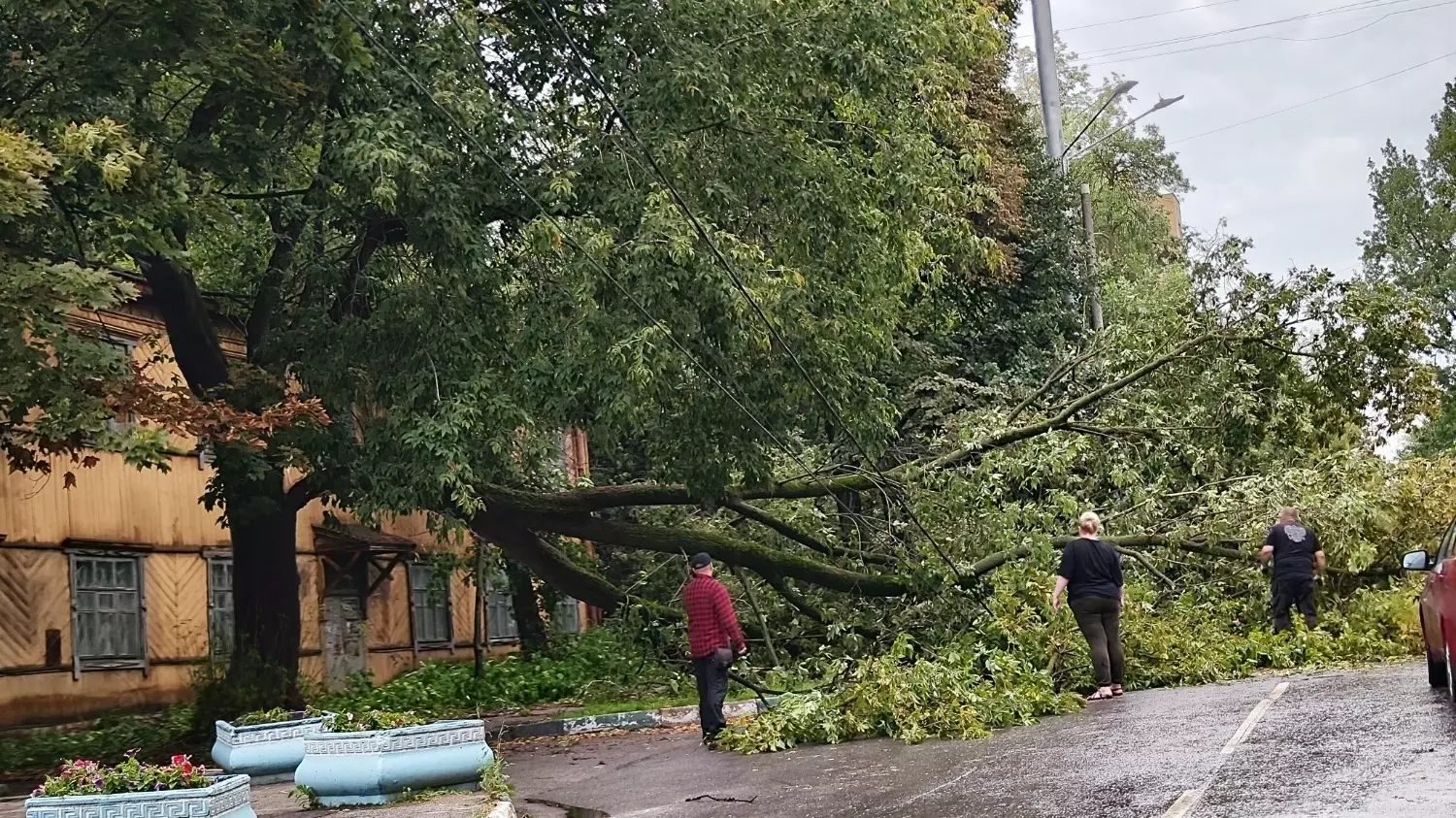 Последствия урагана в Нижнем Новгороде