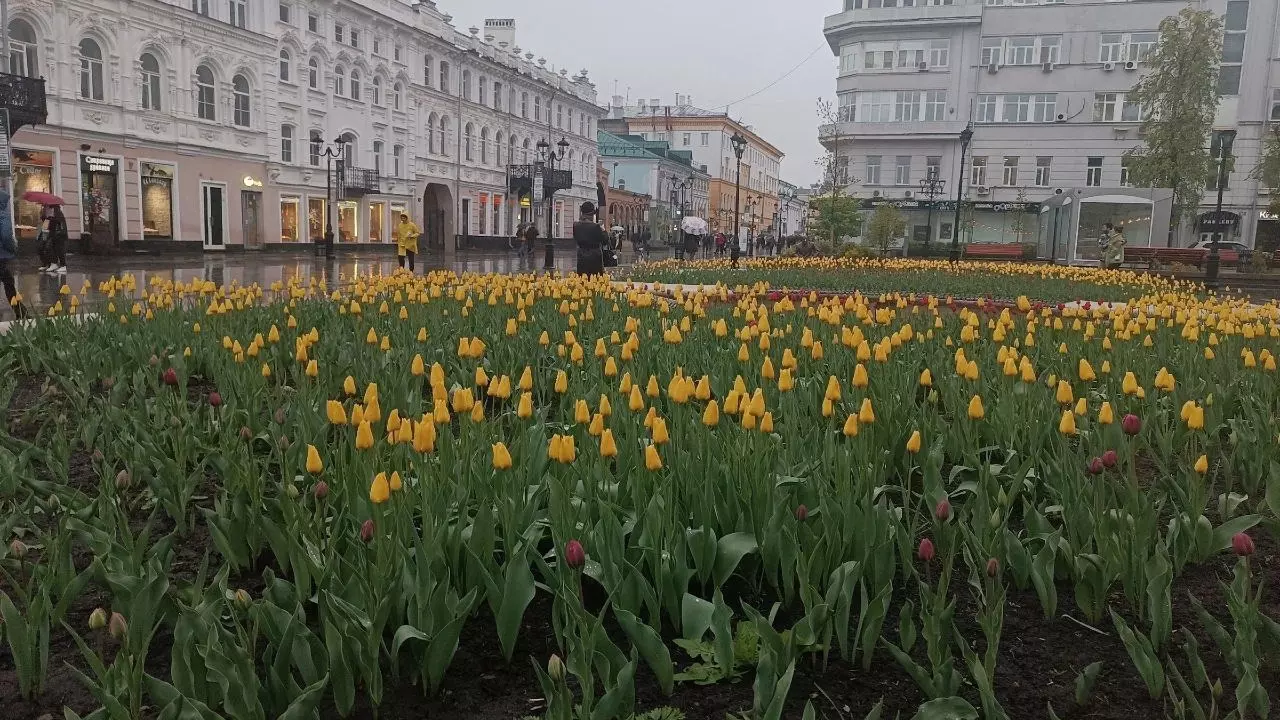 Когда в Нижегородской области станет тепло в мае