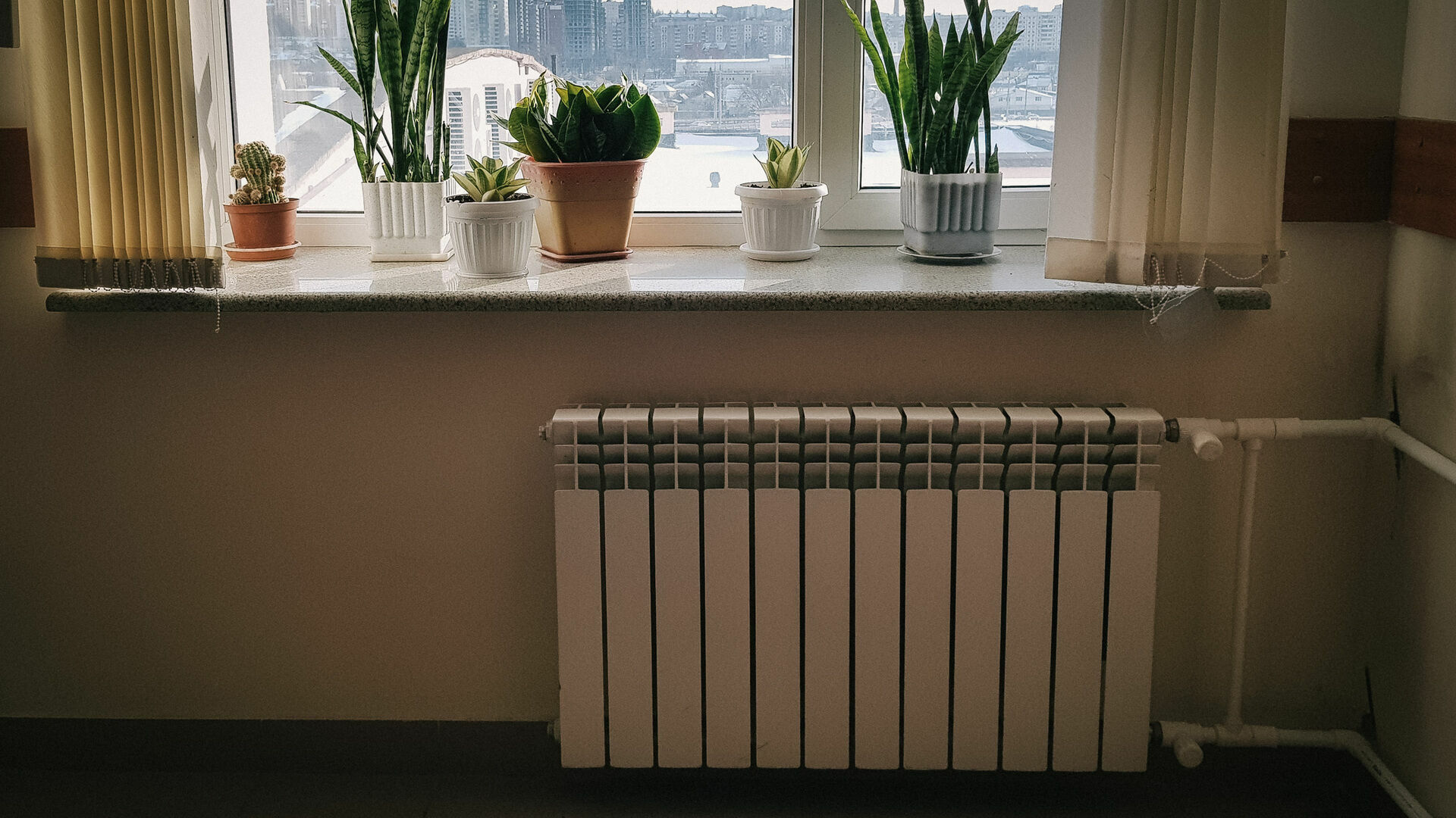 Нижегородцам дали советы по борьбе с жарой в квартирах