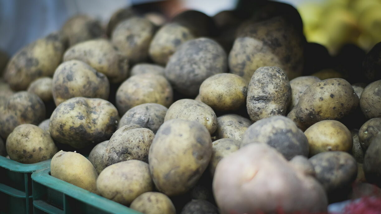 Картофель подешевел на 4,6% в Нижегородской области