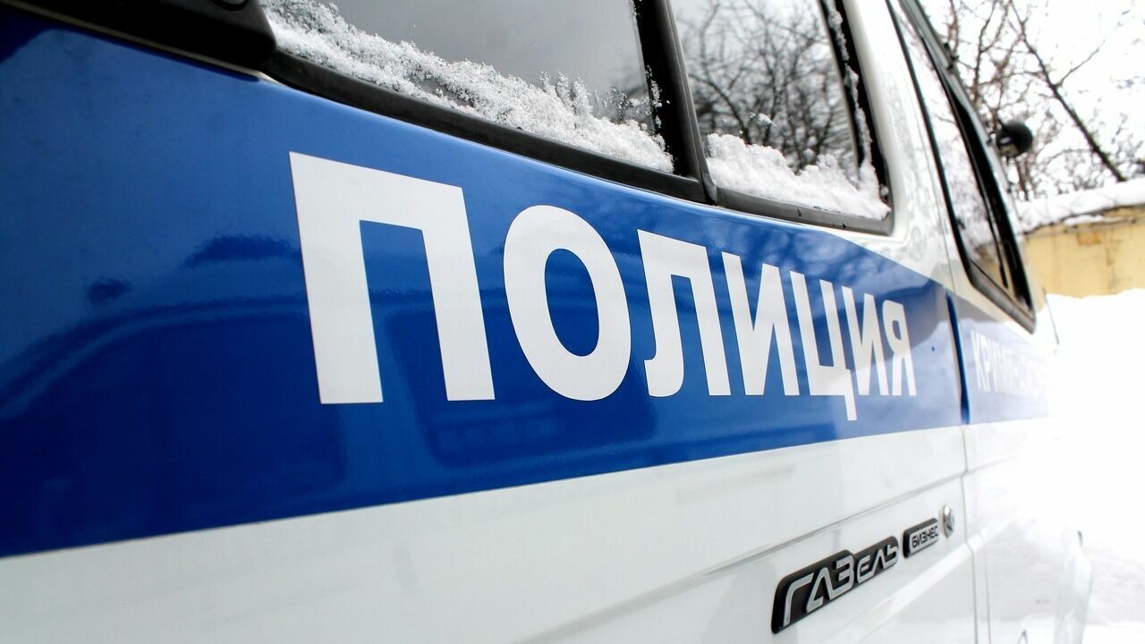 Полиция начала проверку после нападения мастифа на нижегородку