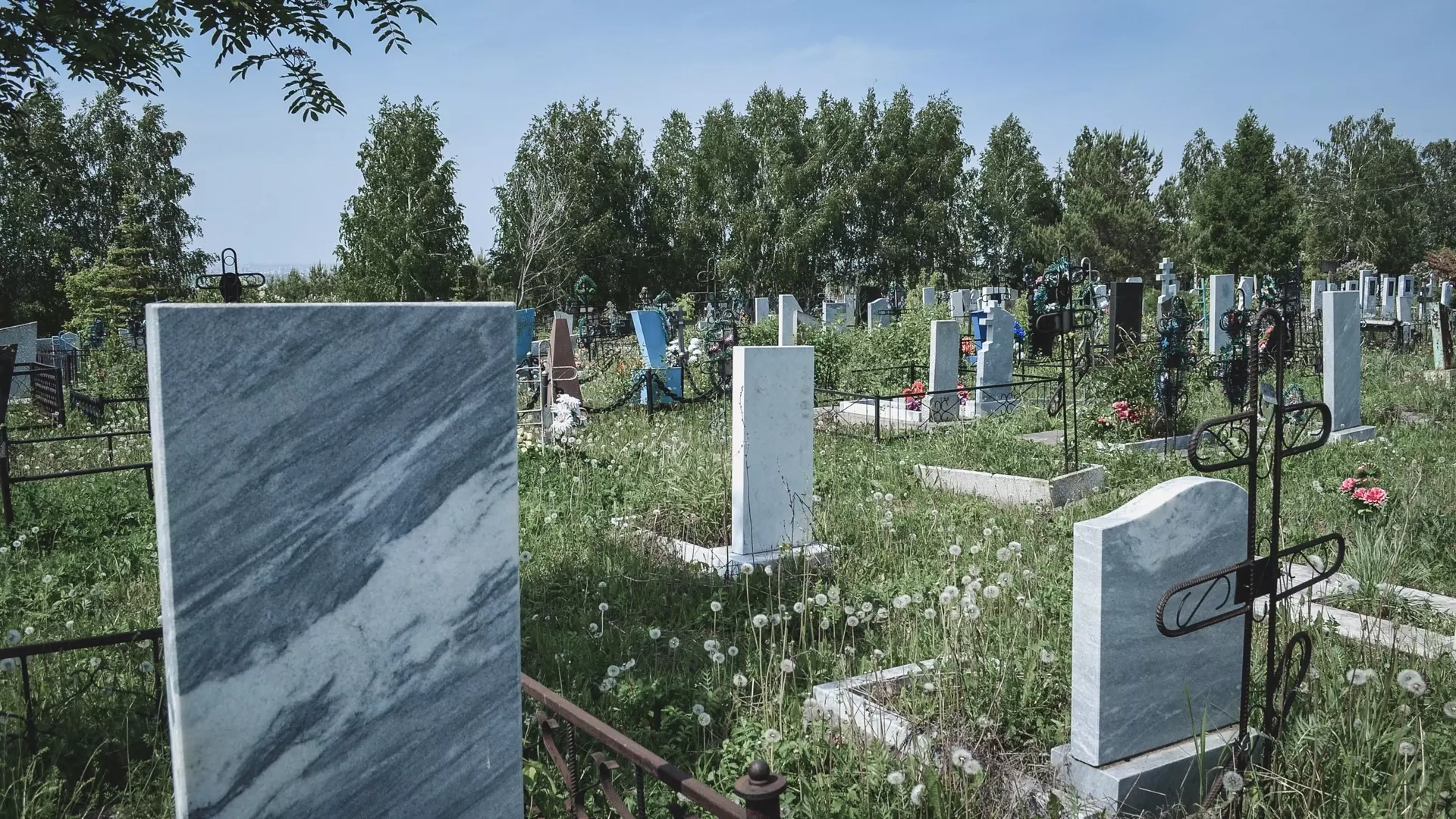 Проект кладбища на Автозаводе находится на экспертизе 