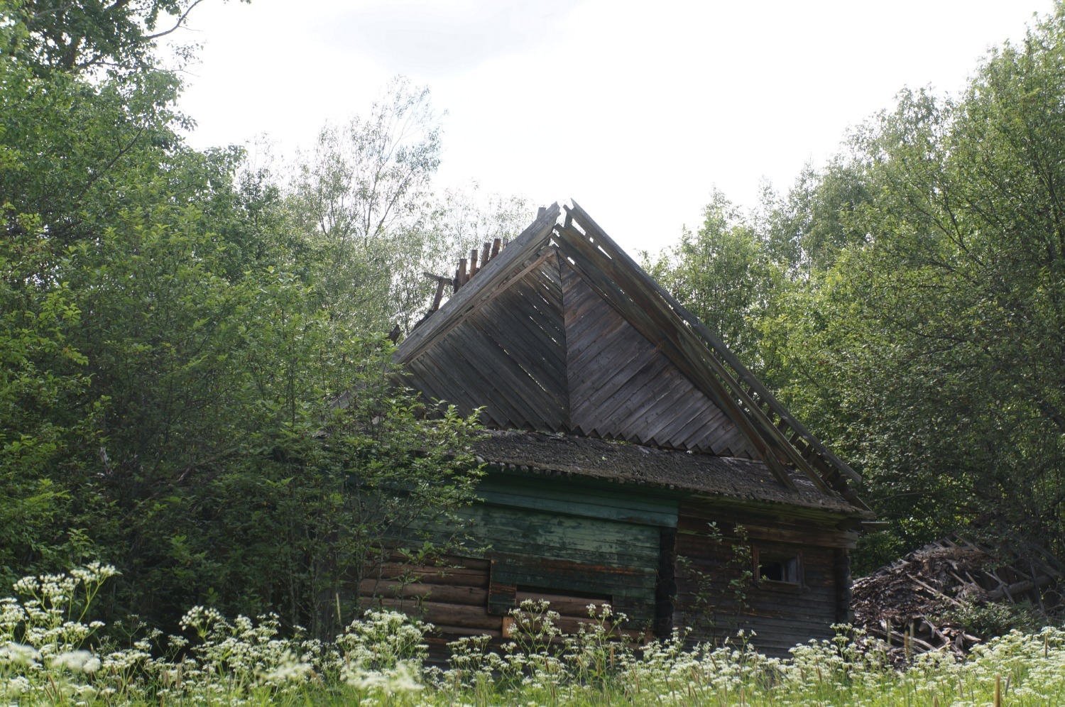 Заброшенные дома деревни Стрелка