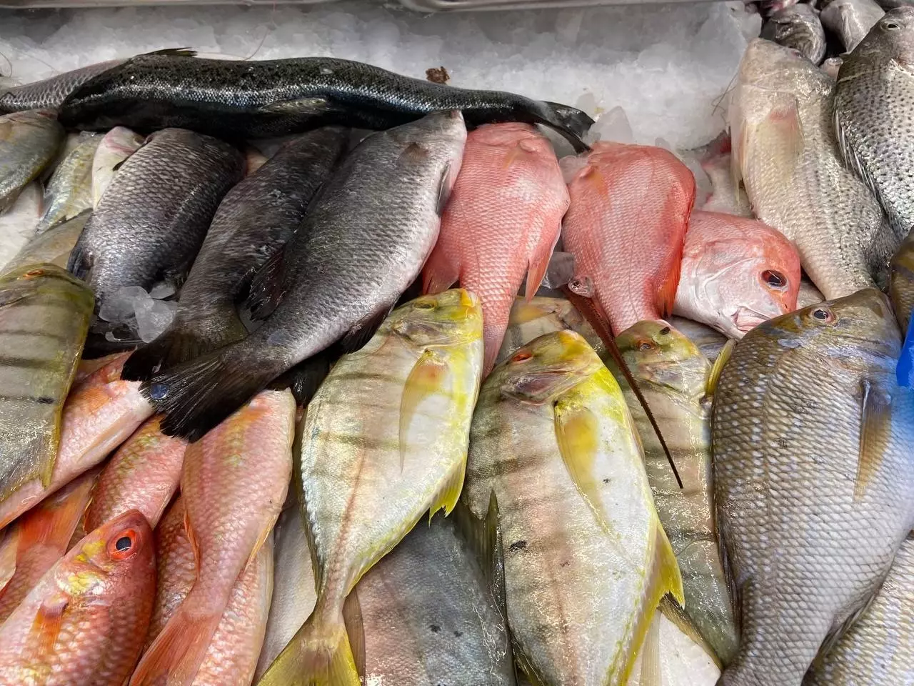 Рыбный рынок в Абу-Даби 