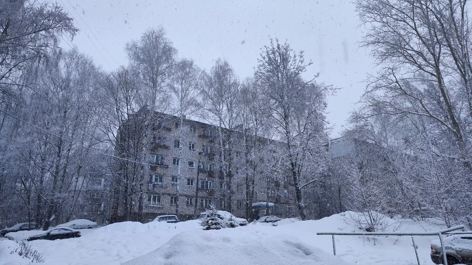До 25 см снега выпадет в Нижнем Новгороде к концу недели