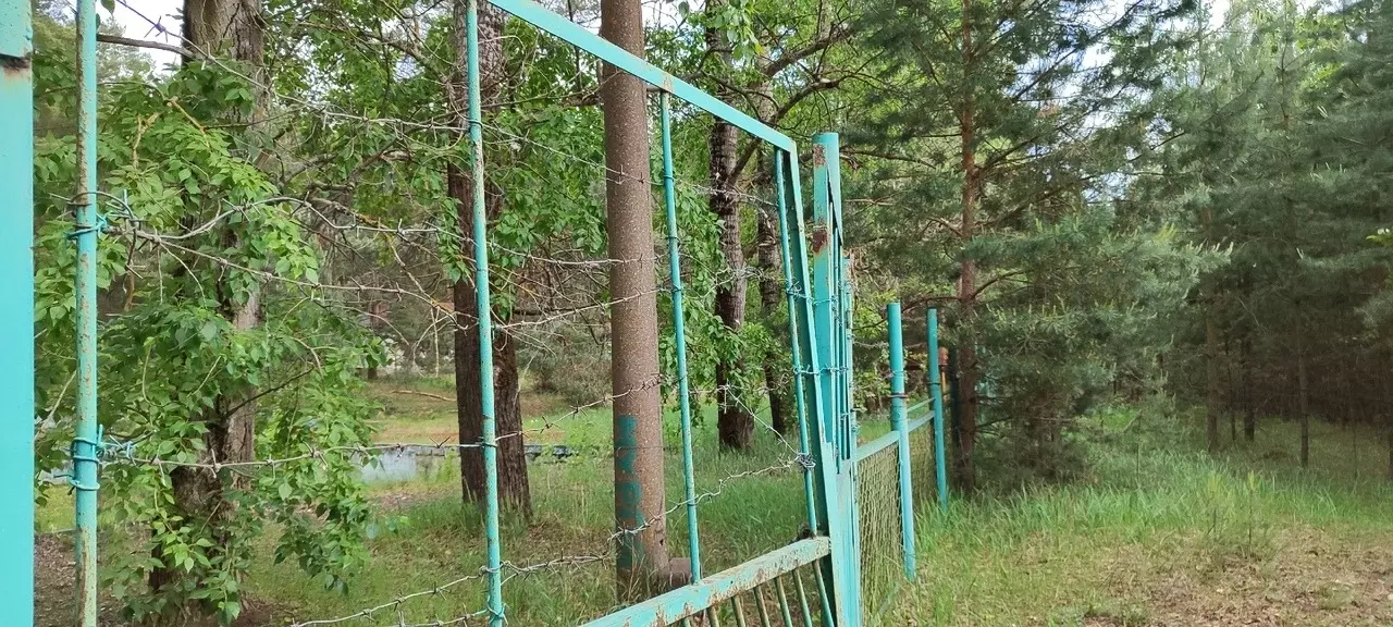 Заброшенный лагерь «Чайка» под Дзержинском
