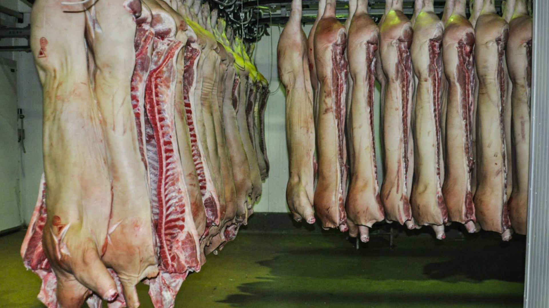 Борская ИК хочет закупить три тонны мяса за 846 тысяч рублей