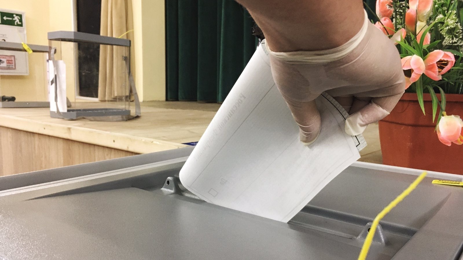 Власти опровергли принуждение к голосованию онлайн 