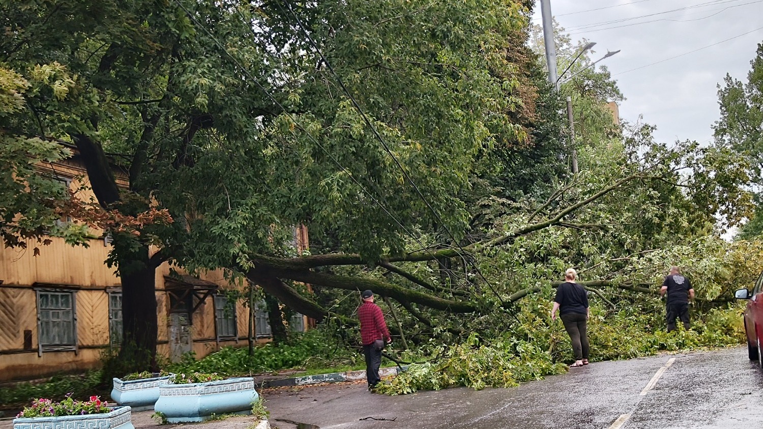 Улица Ижорская. Последствия урагана в Нижнем Новгороде