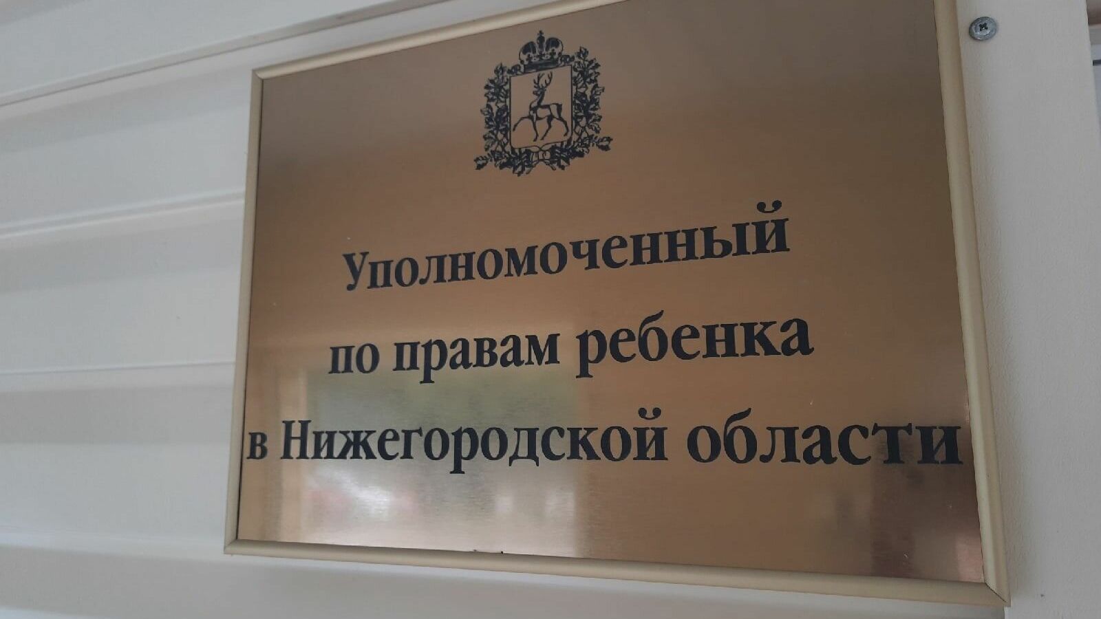 Омбудсмен Ушакова осудила нижегородца за воспитание дочери-фигуристки