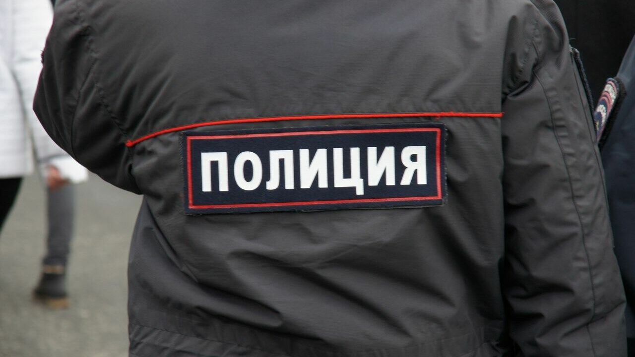 Полиция организовала проверку из-за угрожавшей ножом посетителям ТЦ нижегородки