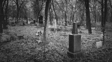Два кладбища закрыли в Нижнем Новгороде