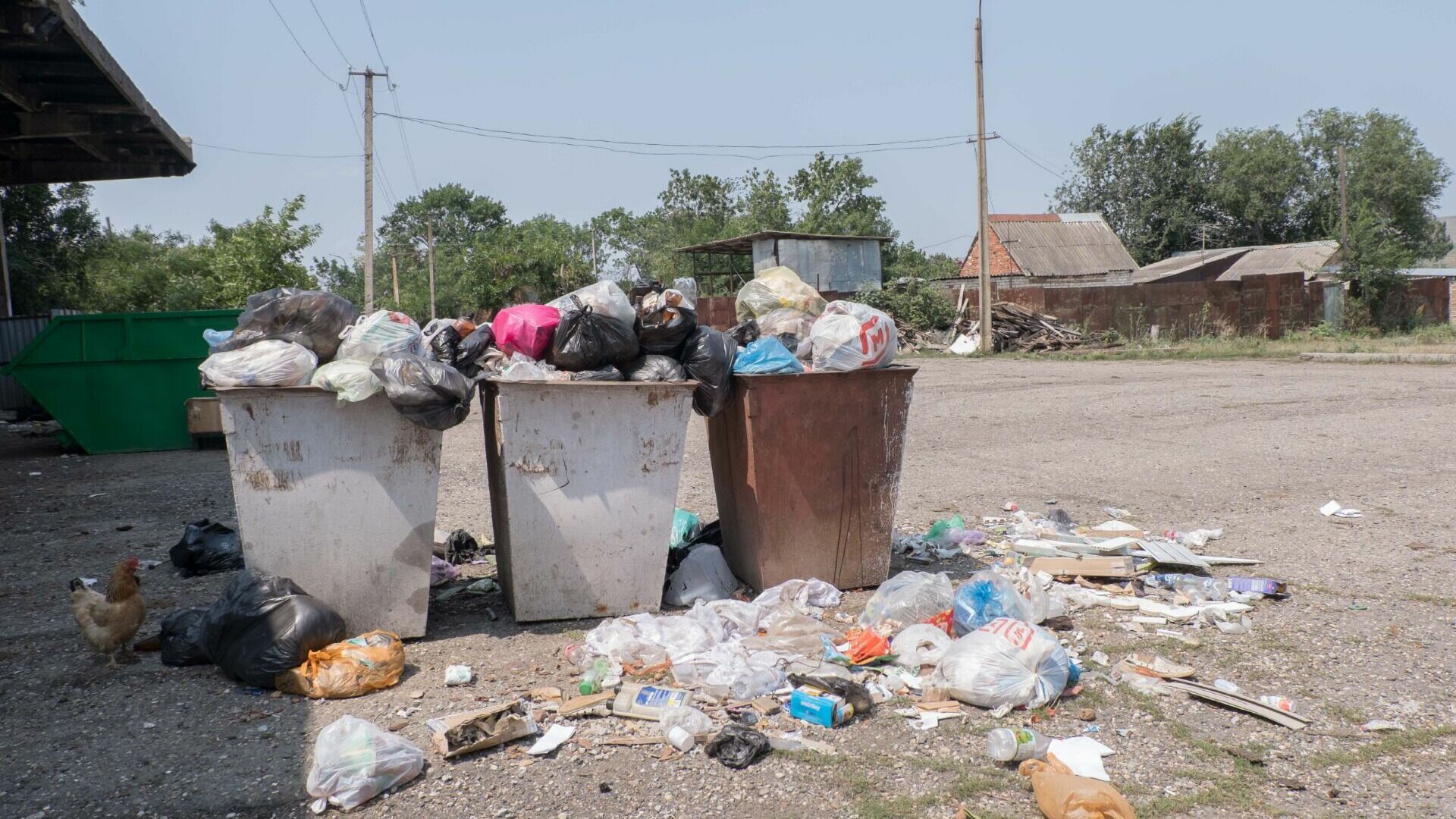 Никитин разберется с вывозом мусора в Нижегородской области