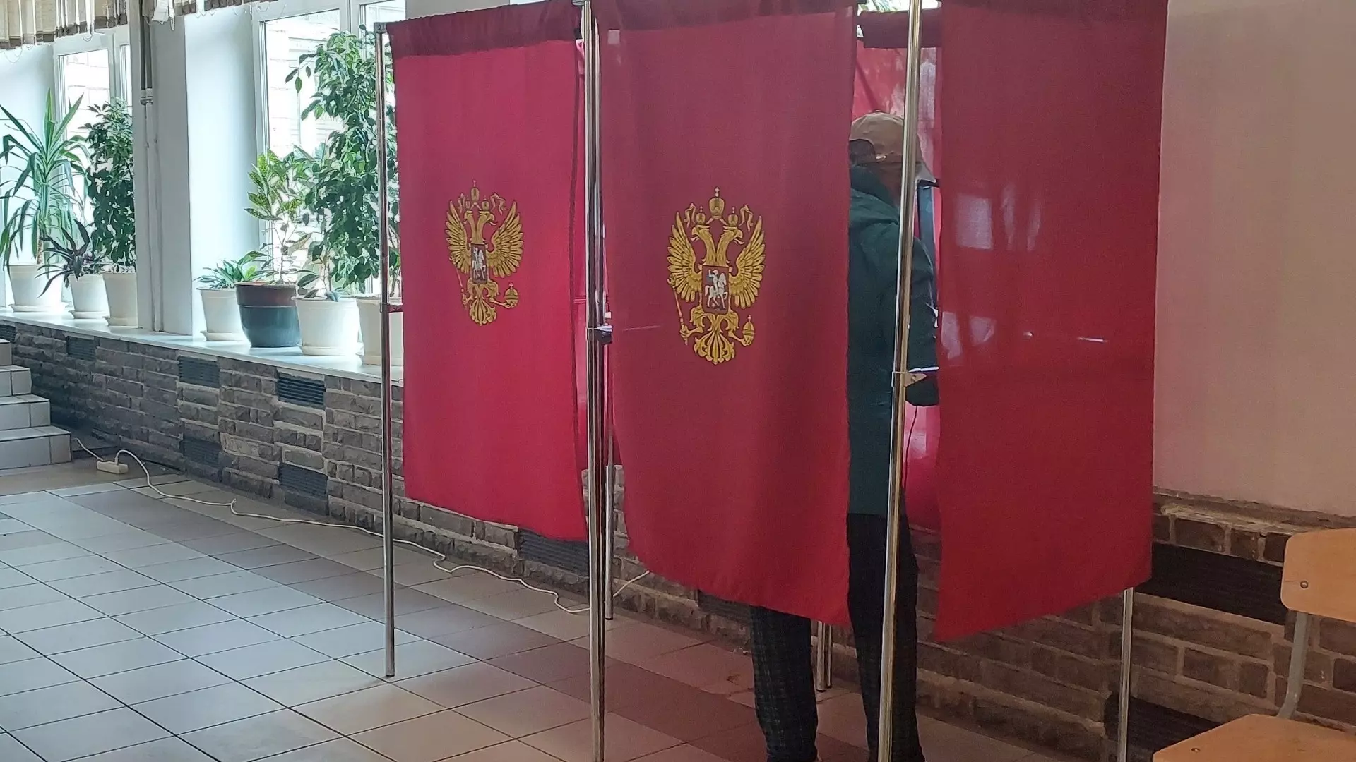 Новые данные по явке на выборы президента в Нижегородской области