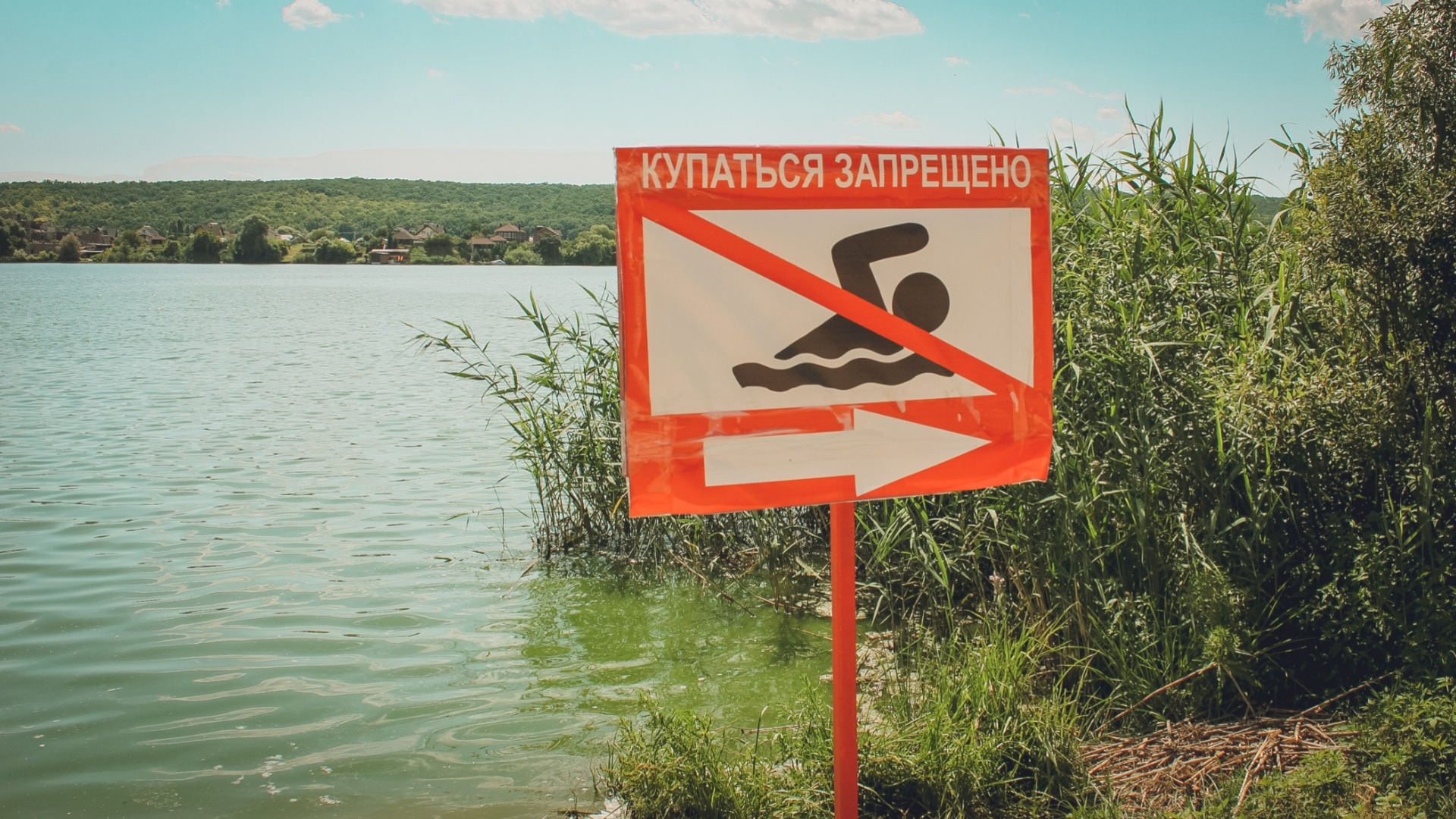 Девять нижегородских озер признаны непригодными для купания
