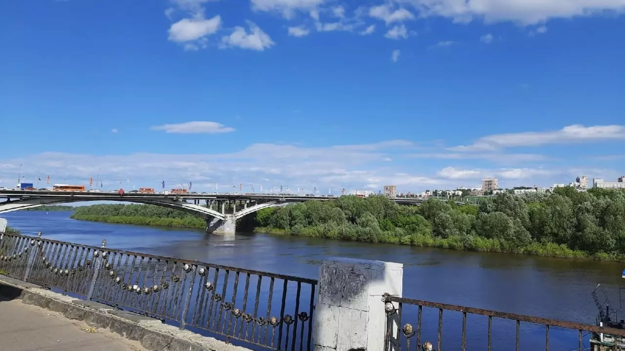 Большинство нижегородцев хотят вернуть рисунок крокодила на Канавинский мост