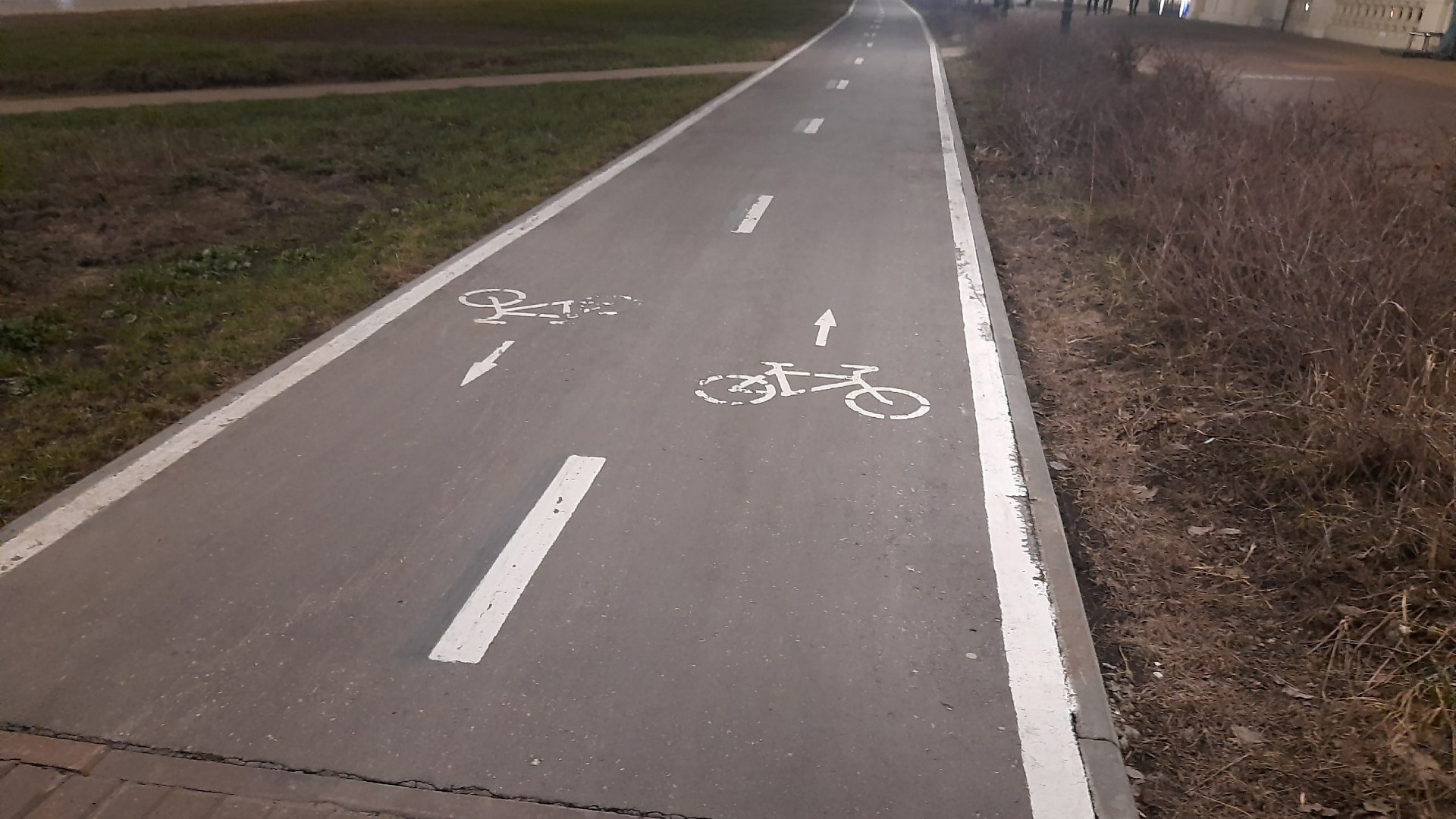Велодорожки появятся на пяти улицах Нижнего Новгорода в 2023 году