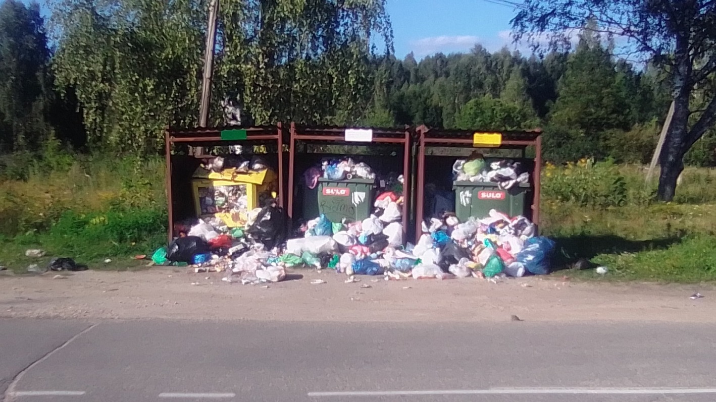 Никитин поручил вывезти мусор с территории у нижегородского озера Светлояр