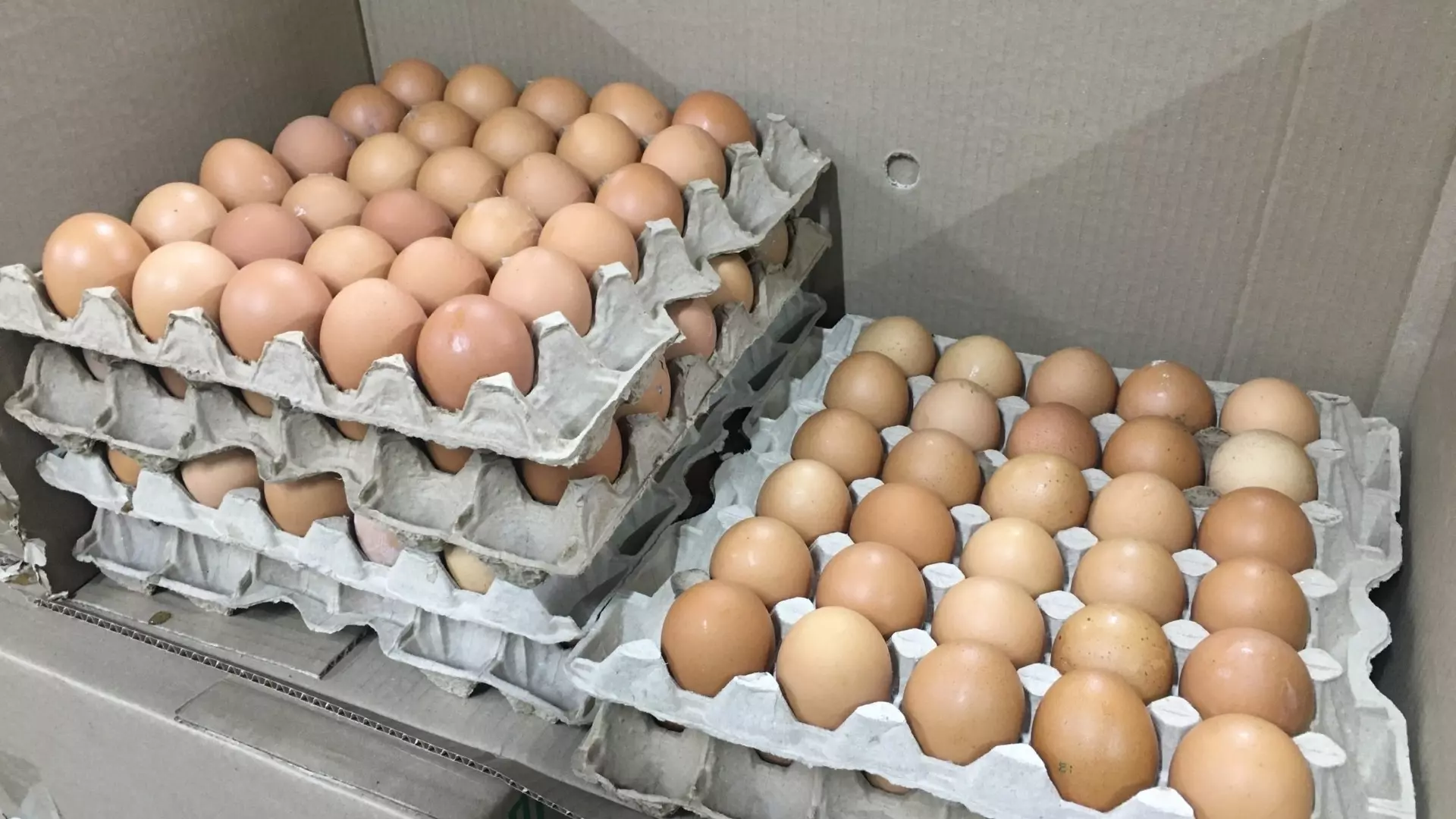 Сколько сейчас стоят яйца в Нижнем Новгороде