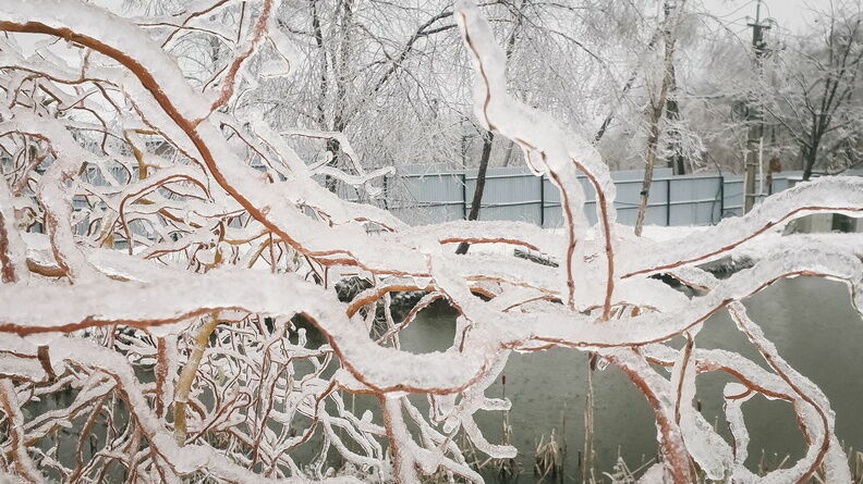 В Нижегородской области пройдет ледяной дождь 13 февраля